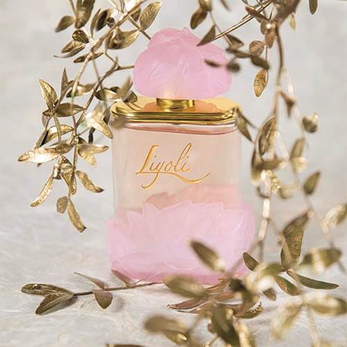 LIYOLI EDP